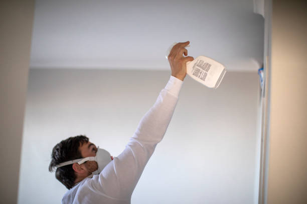Hudson, OH Mold Removal Company