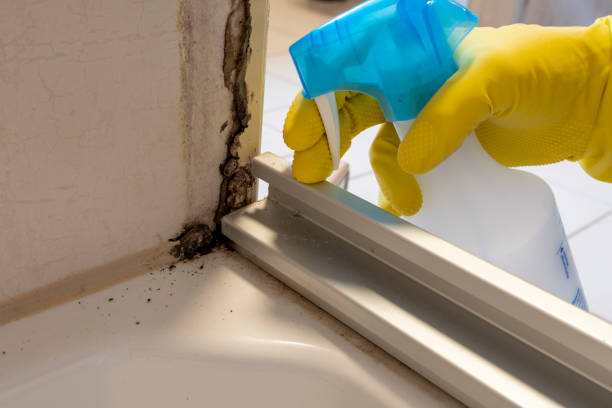 Best Fast Mold Removal  in Hudson, OH
