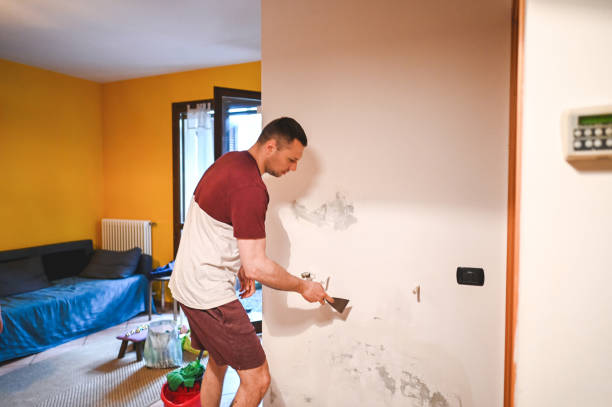 Best Home Mold Removal  in Hudson, OH