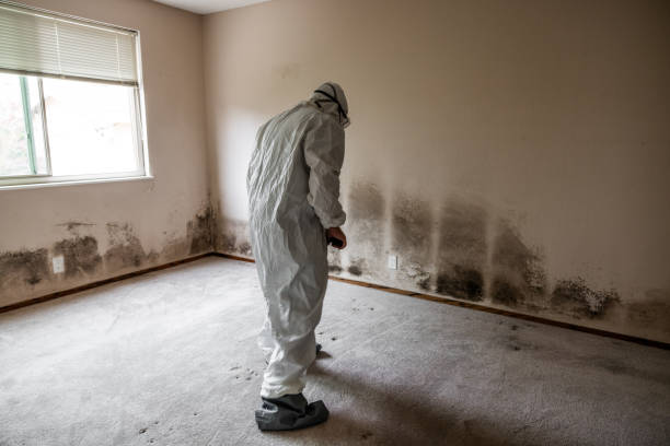 Best Residential Mold Removal  in Hudson, OH